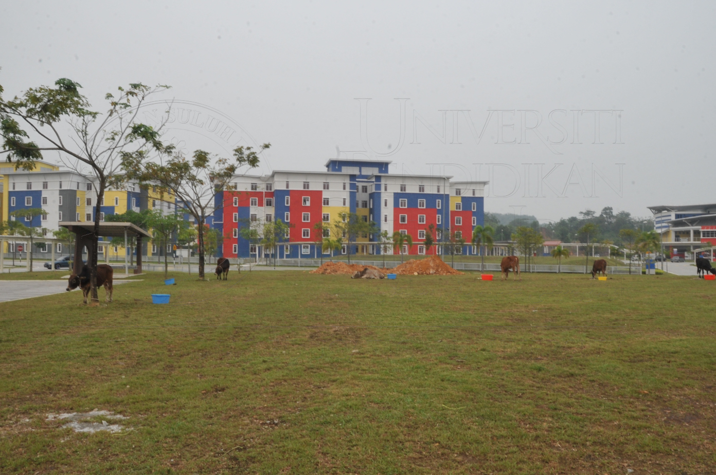 PRO15 150 KORBAN HAS 6667